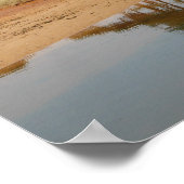 Reflected Pine Trees Poster (Hoek)