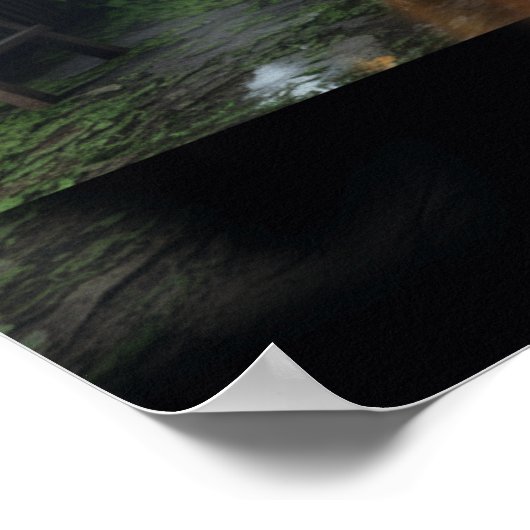 "Reflected Windows" Art Poster Print Katty Pulsar (Hoek)