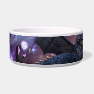 Reflecteert een Drakenpool Voerbakje