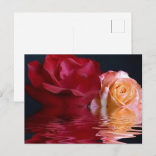 Reflecterend Roos Briefkaart (Voorkant / Achterkant)