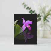 Reflecterende Beauty Orchid-Briefkaart Briefkaart (Staand voorkant)