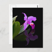 Reflecterende Beauty Orchid-Briefkaart Briefkaart (Voorkant / Achterkant)