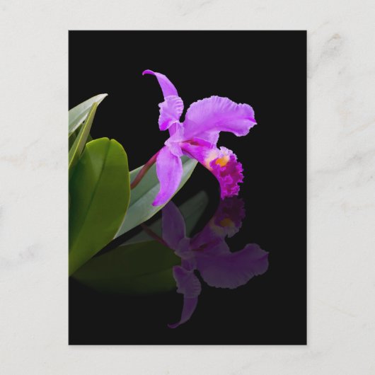 Reflecterende Beauty Orchid-Briefkaart Briefkaart (Voorkant)