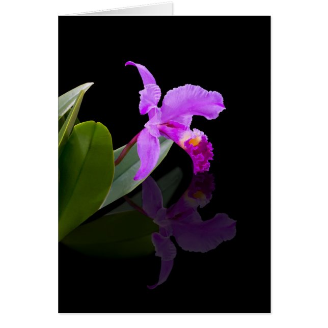 Reflecterende Beauty Orchid-kaart (Voorkant)