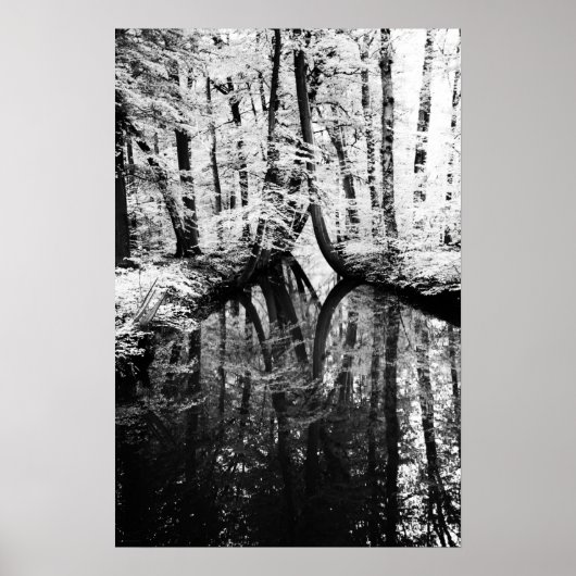 Reflecterende contrastwapna poster (Voorkant)