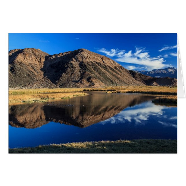 Reflecterende isolatie (Voorkant Horizontaal)