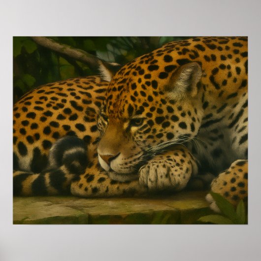 Reflecterende Jaguar – Serene Wildlife Art Print (Voorkant)