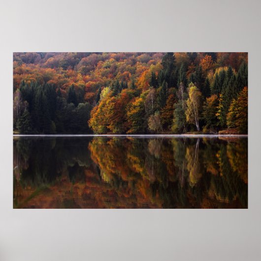 Reflecterende kleuren poster (Voorkant)