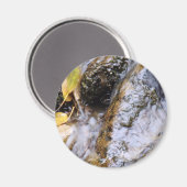 reflecterende najaarsstroommagneet magneet (Voorkant / Achterkant)