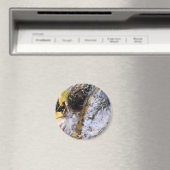 reflecterende najaarsstroommagneet magneet (Insitu (Vaatwasser))