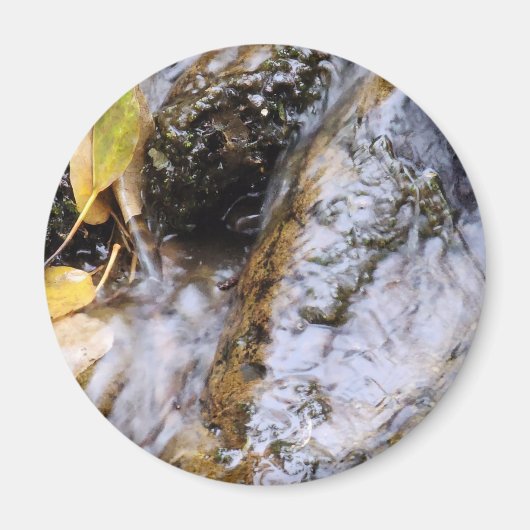 reflecterende najaarsstroommagneet magneet (Voorkant)