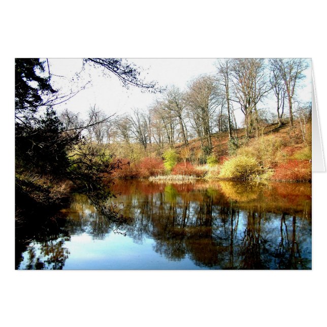 reflectie (Voorkant Horizontaal)