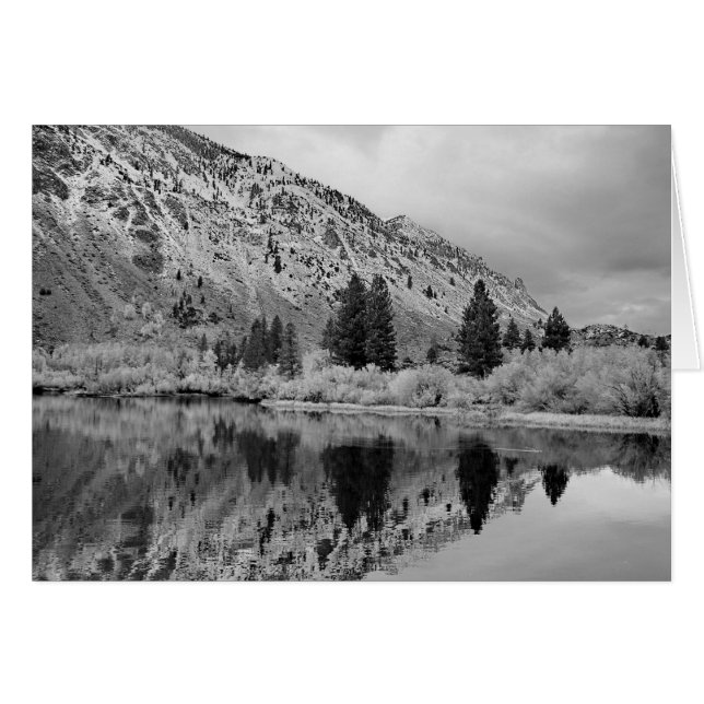 reflectie (Voorkant Horizontaal)