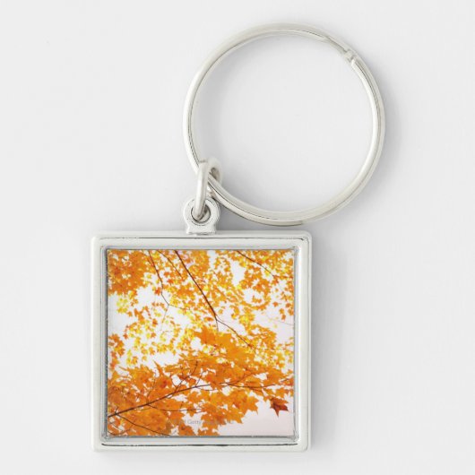 Reflectie alle bladeren sleutelhanger (Voorkant)