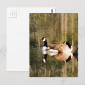 reflectie briefkaart (Voorkant / Achterkant)