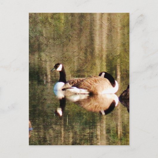 reflectie briefkaart (Voorkant)