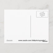 Reflectie-Briefkaart Briefkaart (Achterkant)