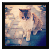 reflectie foto afdruk (Voorkant)