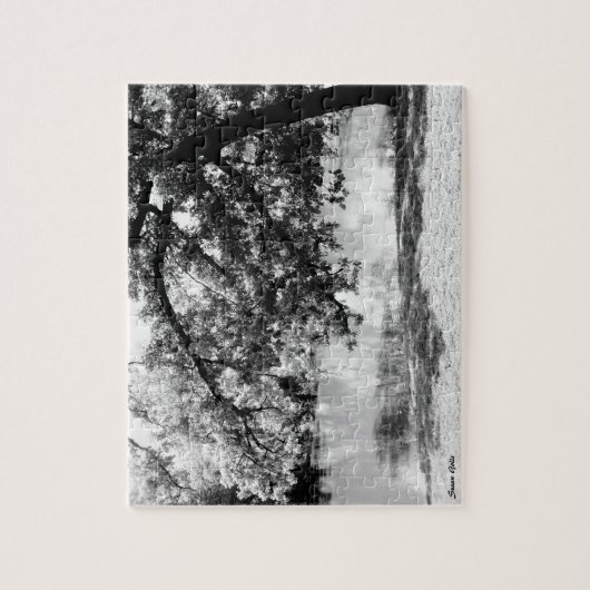 Reflectie in de Puzzle Water Fine Art Legpuzzel (Verticaal)