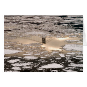 Reflectie in goud