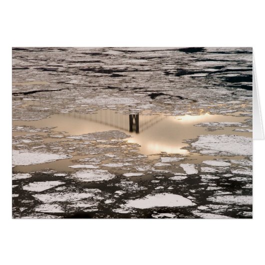 Reflectie in goud (Voorkant Horizontaal)