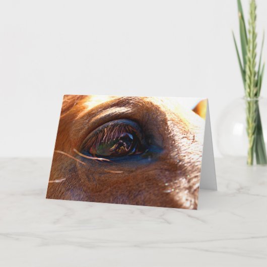 Reflectie in het oog van paarden kaart (Voorkant)