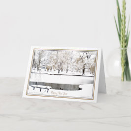 Reflectie: In Nieuwjaar: Boston Public Garden Feestdagen Kaart