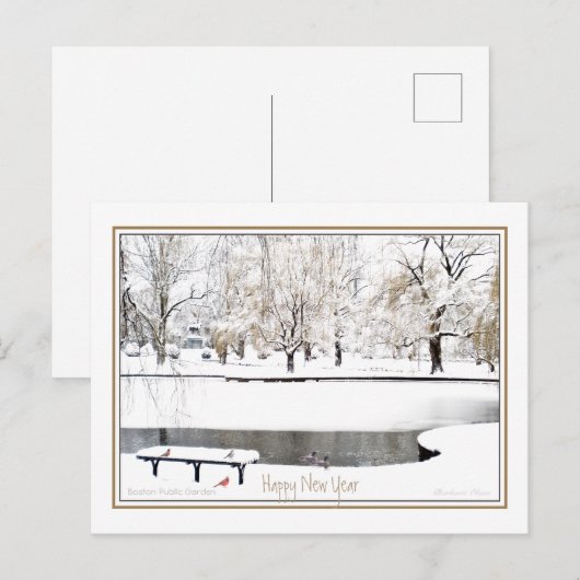 Reflectie: In Nieuwjaar: Boston Public Garden Feestdagenkaart (Voorkant / Achterkant)