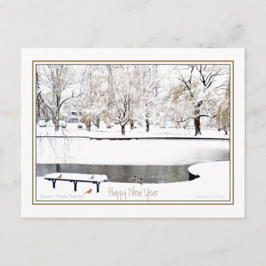 Reflectie: In Nieuwjaar: Boston Public Garden Feestdagenkaart (Voorkant)