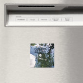 Reflectie in Sturgeon Pond Magnet (Insitu (Vaatwasser))