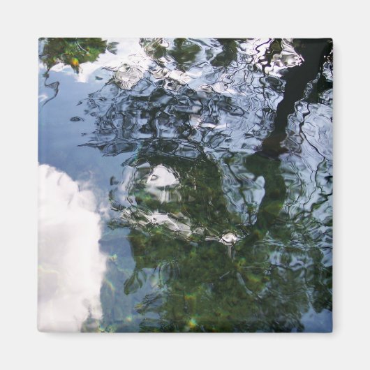 Reflectie in Sturgeon Pond Magnet (Voorkant)