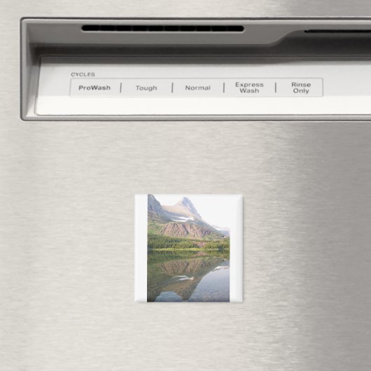 reflectie magneet (Insitu (Vaatwasser))