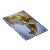 Reflectie op een laptop van Lioness Notitieboek (Rechterzijde)