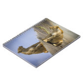 Reflectie op een laptop van Lioness Notitieboek (Linkerzijde)