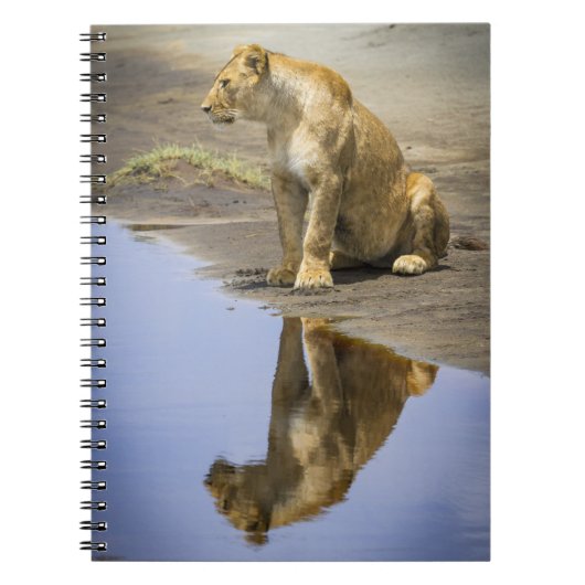 Reflectie op een laptop van Lioness Notitieboek (Voorkant)