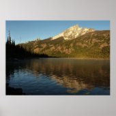 Reflectie op het natuurpark Jenny Lake Grand Teton Poster (Voorkant)
