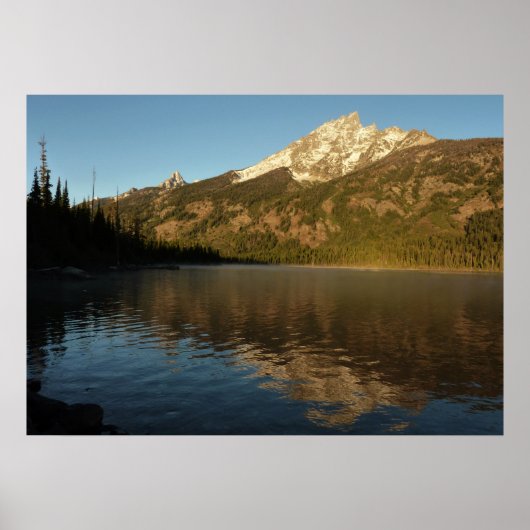 Reflectie op het natuurpark Jenny Lake Grand Teton Poster (Voorkant)