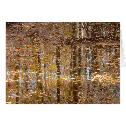 Reflectie op stille kreek in Greenbelt Park (Voorkant Horizontaal)