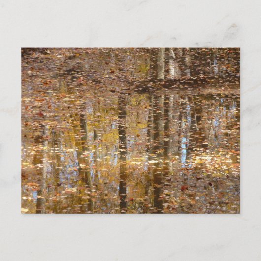 Reflectie op stille kreek in Greenbelt Park Briefkaart (Voorkant)