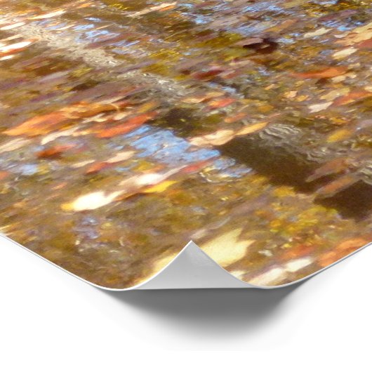 Reflectie op stille kreek in Greenbelt Park Poster (Hoek)