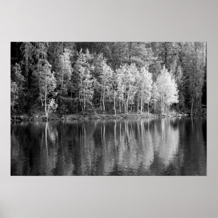 Reflectie Poster
