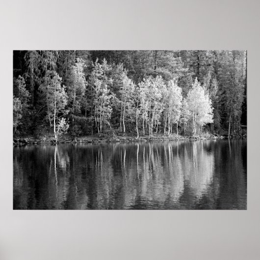 Reflectie Poster (Voorkant)