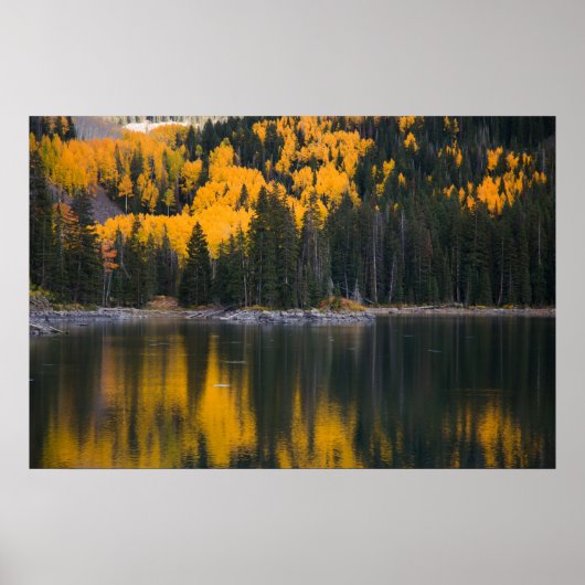 reflectie poster (Voorkant)