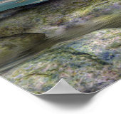 reflectie poster (Hoek)