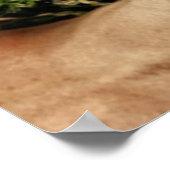 reflectie poster (Hoek)