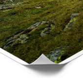 reflectie poster (Hoek)