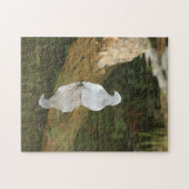 Reflectie Puzzle Legpuzzel (Horizontaal)