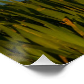 Reflectie van boten in een haven. perfect poster (Hoek)