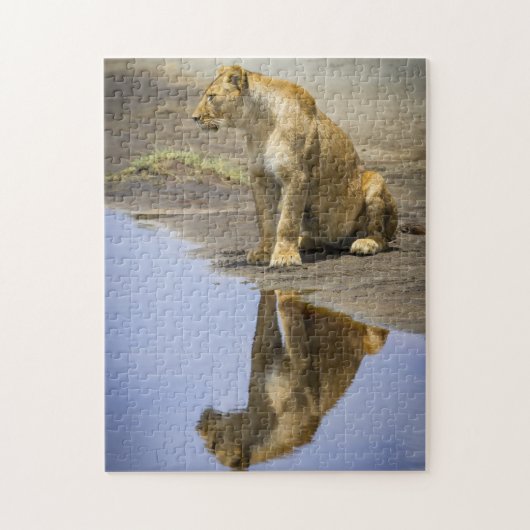 Reflectie van een leeuwige puzzel (Verticaal)