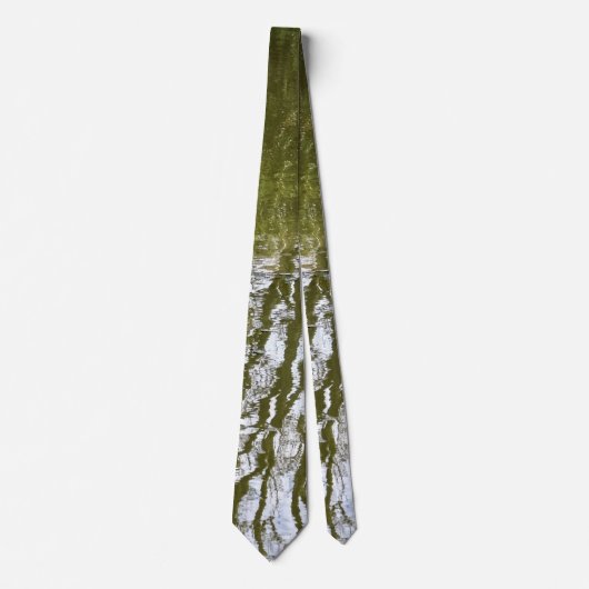 Reflectie van een Stropdas van de Boom (Voorkant)